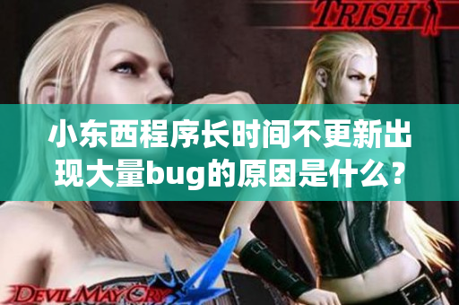 小东西程序长时间不更新出现大量bug的原因是什么？