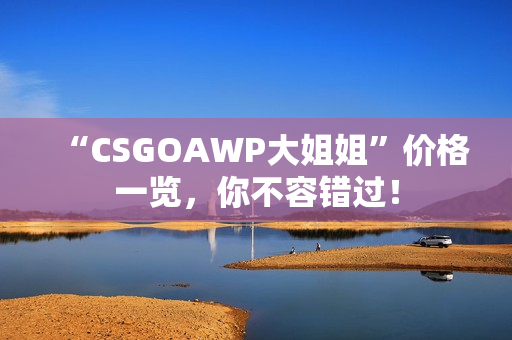 “CSGOAWP大姐姐”价格一览，你不容错过！