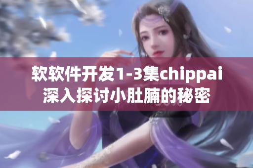 软软件开发1-3集chippai深入探讨小肚腩的秘密