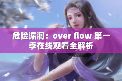 危险漏洞：over flow 第一季在线观看全解析