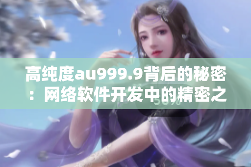 高纯度au999.9背后的秘密：网络软件开发中的精密之道