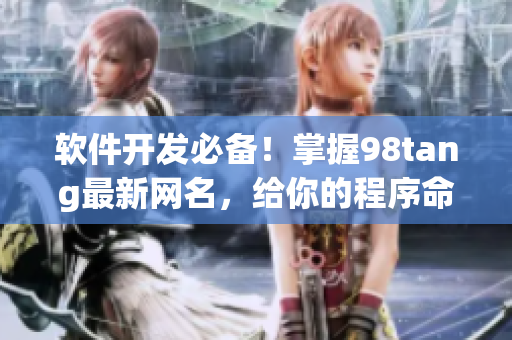 软件开发必备！掌握98tang最新网名，给你的程序命名焕发新生