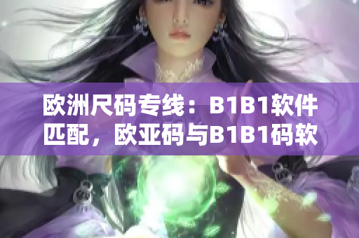 欧洲尺码专线：B1B1软件匹配，欧亚码与B1B1码软件对接