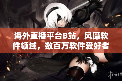 海外直播平台B站，风靡软件领域，数百万软件爱好者追捧的热门直播话题