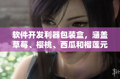 软件开发利器包装盒，涵盖草莓、樱桃、西瓜和榴莲元素