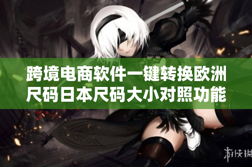 跨境电商软件一键转换欧洲尺码日本尺码大小对照功能