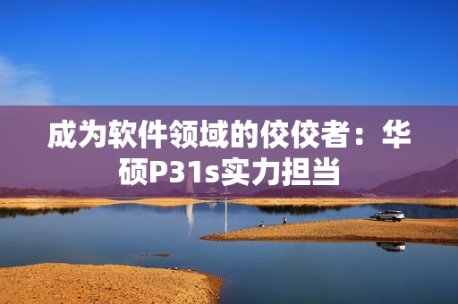 成为软件领域的佼佼者：华硕P31s实力担当