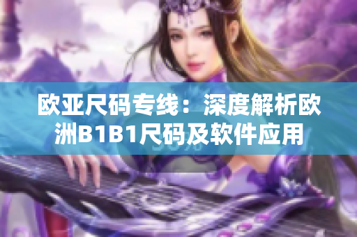 欧亚尺码专线：深度解析欧洲B1B1尺码及软件应用