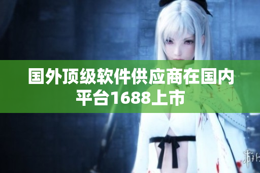 国外顶级软件供应商在国内平台1688上市