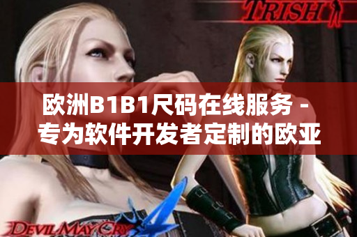 欧洲B1B1尺码在线服务 - 专为软件开发者定制的欧亚尺码解决方案