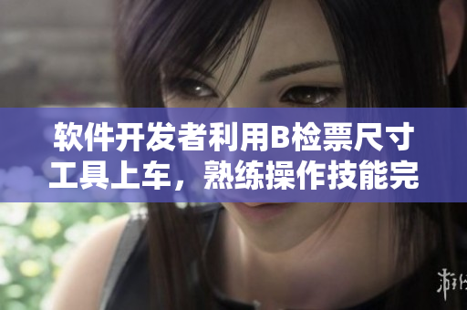 软件开发者利用B检票尺寸工具上车，熟练操作技能完美展示
