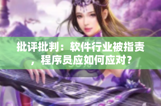 批评批判：软件行业被指责，程序员应如何应对？