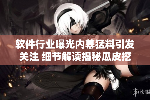 软件行业曝光内幕猛料引发关注 细节解读揭秘瓜皮挖掘机