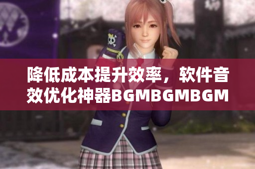 降低成本提升效率，软件音效优化神器BGMBGMBGM的超值价格