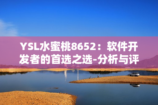 YSL水蜜桃8652：软件开发者的首选之选-分析与评测