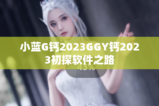 小蓝G钙2023GGY钙2023初探软件之路