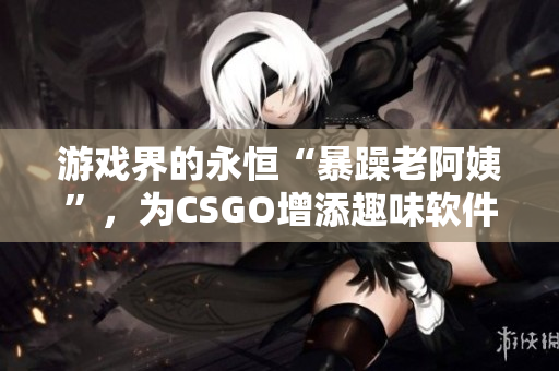 游戏界的永恒“暴躁老阿姨”，为CSGO增添趣味软件见闻