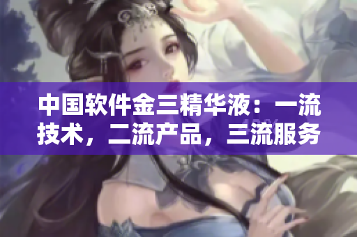 中国软件金三精华液：一流技术，二流产品，三流服务
