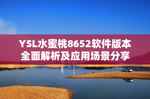 YSL水蜜桃8652软件版本全面解析及应用场景分享