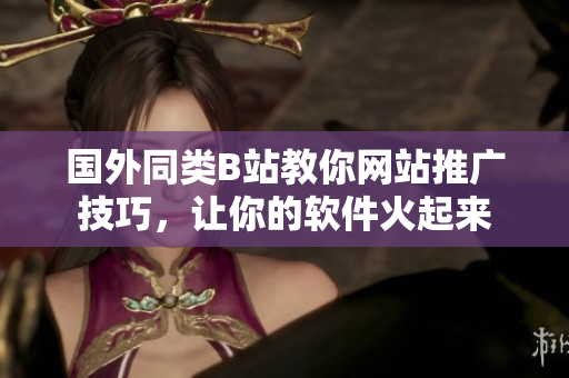 国外同类B站教你网站推广技巧，让你的软件火起来