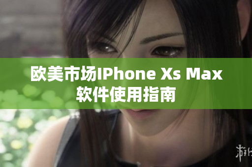 欧美市场IPhone Xs Max软件使用指南