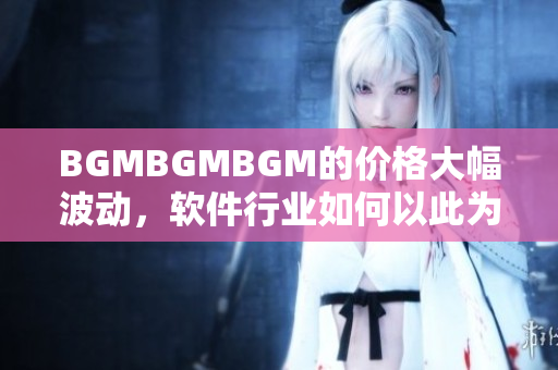 BGMBGMBGM的价格大幅波动，软件行业如何以此为机遇调整策略？