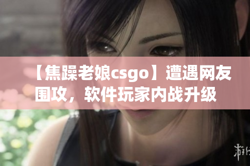 【焦躁老娘csgo】遭遇网友围攻，软件玩家内战升级