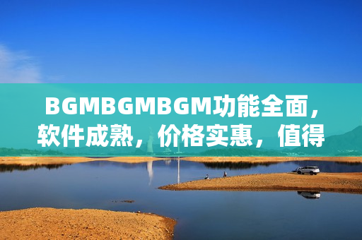 BGMBGMBGM功能全面，软件成熟，价格实惠，值得购买!