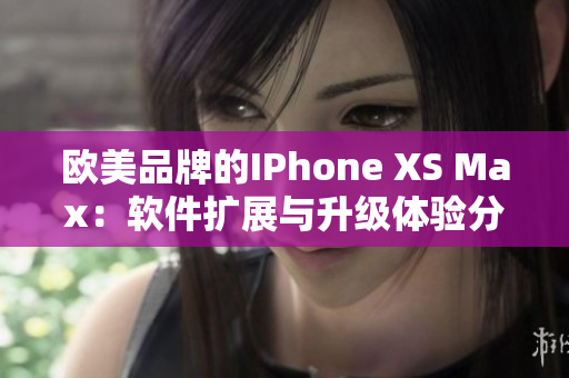 欧美品牌的IPhone XS Max：软件扩展与升级体验分享