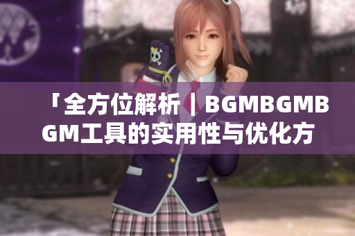 「全方位解析｜BGMBGMBGM工具的实用性与优化方案」