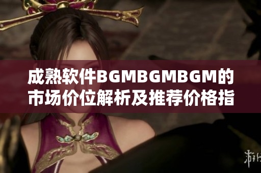 成熟软件BGMBGMBGM的市场价位解析及推荐价格指南