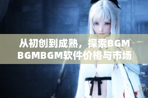 从初创到成熟，探索BGMBGMBGM软件价格与市场趋势