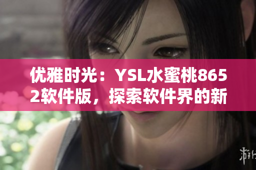 优雅时光：YSL水蜜桃8652软件版，探索软件界的新时尚