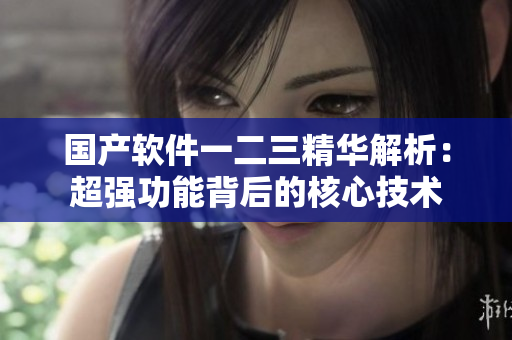 国产软件一二三精华解析：超强功能背后的核心技术