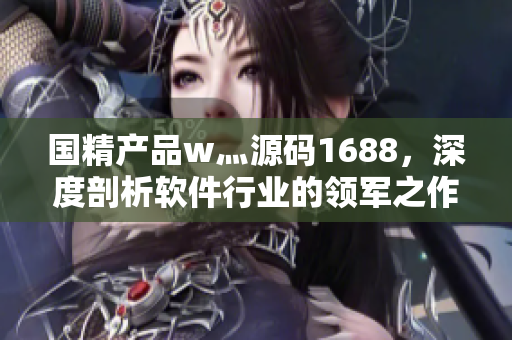 国精产品w灬源码1688，深度剖析软件行业的领军之作