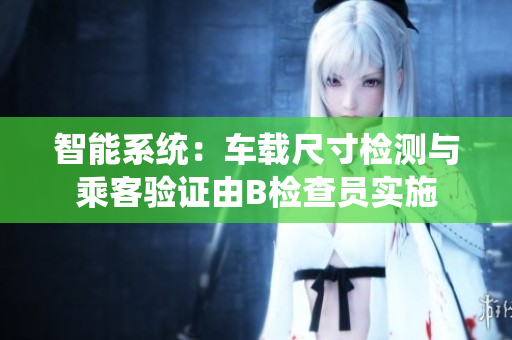 智能系统：车载尺寸检测与乘客验证由B检查员实施