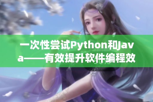 一次性尝试Python和Java——有效提升软件编程效率！