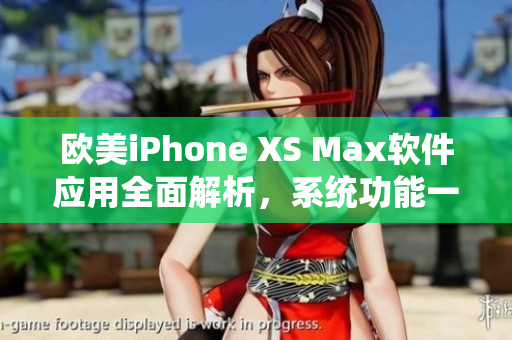 欧美iPhone XS Max软件应用全面解析，系统功能一览无余