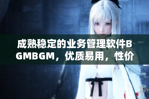 成熟稳定的业务管理软件BGMBGM，优质易用，性价比超高