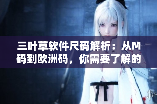 三叶草软件尺码解析：从M码到欧洲码，你需要了解的一切