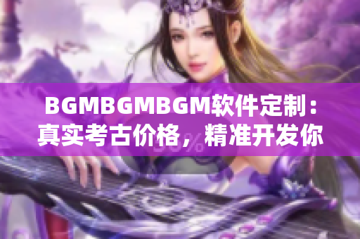 BGMBGMBGM软件定制：真实考古价格，精准开发你的专属音乐播放器