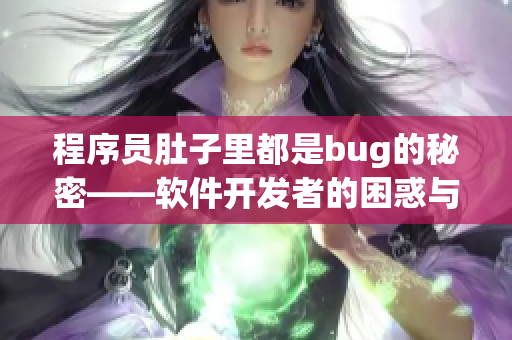 程序员肚子里都是bug的秘密——软件开发者的困惑与解决之道