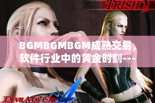 BGMBGMBGM成熟交易，软件行业中的黄金时刻---瞭望未来价值