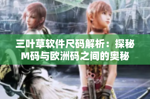 三叶草软件尺码解析：探秘M码与欧洲码之间的奥秘