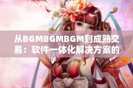 从BGMBGMBGM到成熟交易：软件一体化解决方案的价格分析