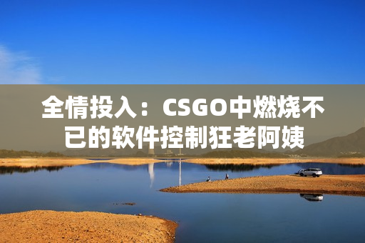 全情投入：CSGO中燃烧不已的软件控制狂老阿姨