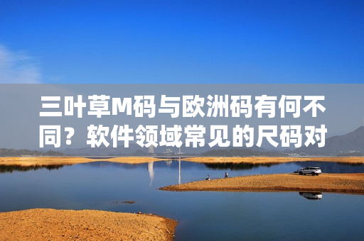 三叶草M码与欧洲码有何不同？软件领域常见的尺码对比解析