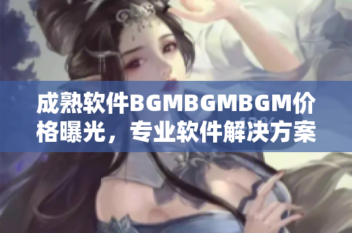 成熟软件BGMBGMBGM价格曝光，专业软件解决方案助您加速发展