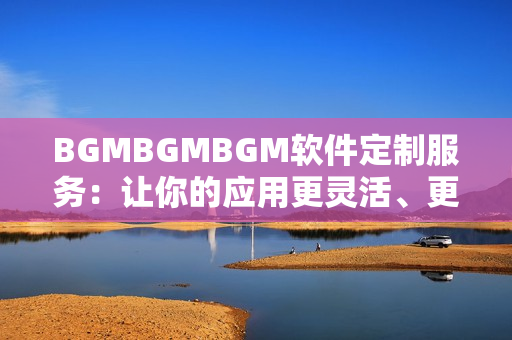 BGMBGMBGM软件定制服务：让你的应用更灵活、更高效!