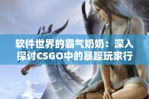 软件世界的霸气奶奶：深入探讨CSGO中的暴躁玩家行为